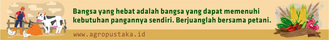 Hosting Unlimited Indonesia